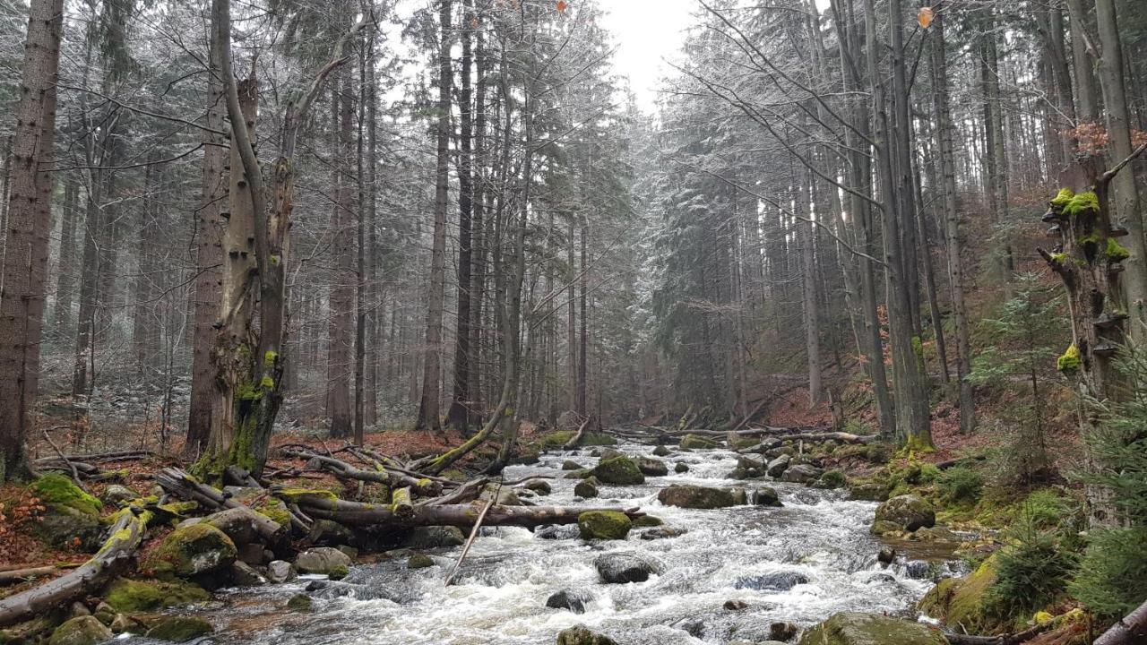 Villa Leika - Panoramablick Am Riesengebirge Mysłakowice Eksteriør billede
